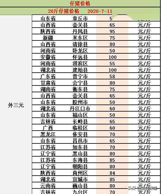 最新仔猪价格行情解析