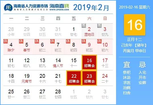 2024今晚香港开特马开什么｜热门解析解读