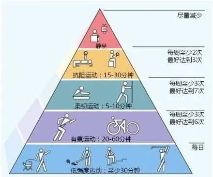 澳门跑狗,功能性操作方案制定_运动版78.612