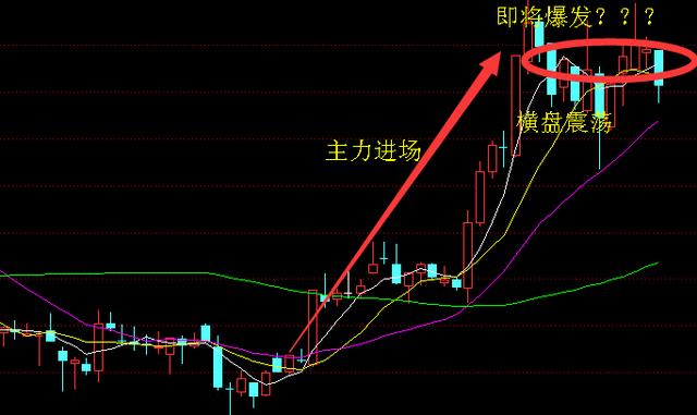 东湖高新股票最新动态，行业趋势与公司前景展望