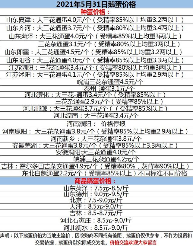 大鹅最新价格动态解析