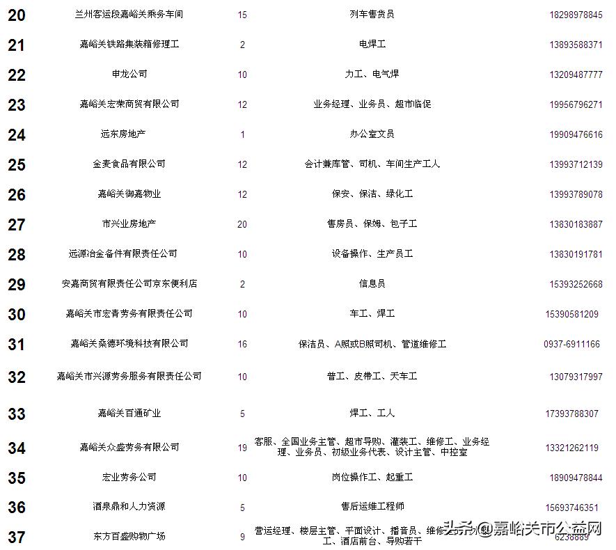 嘉峪关最新招聘工作的全面解读与分析