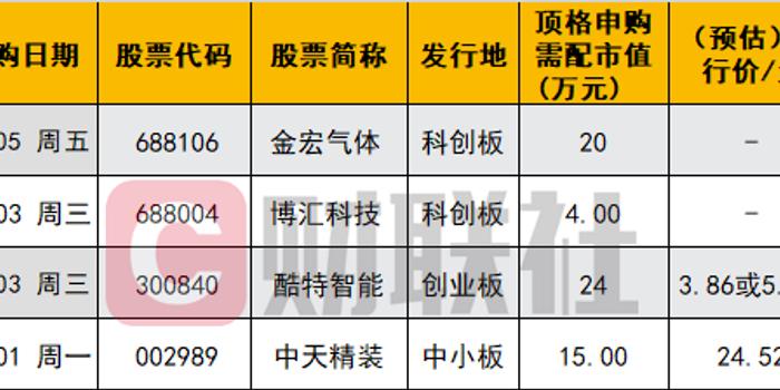 新股申购入门指南与策略解析