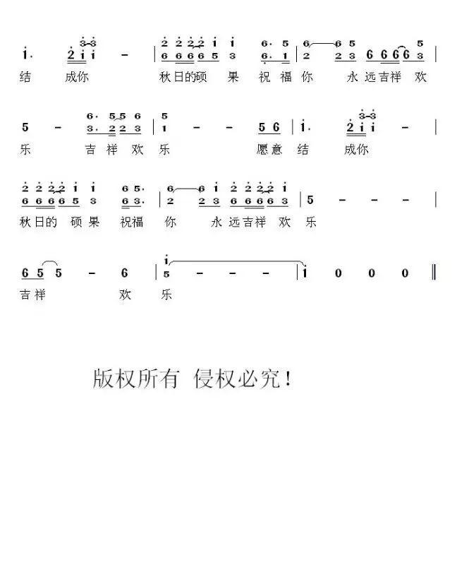 李双林最新视频，探索之路、启示之声与未来展望