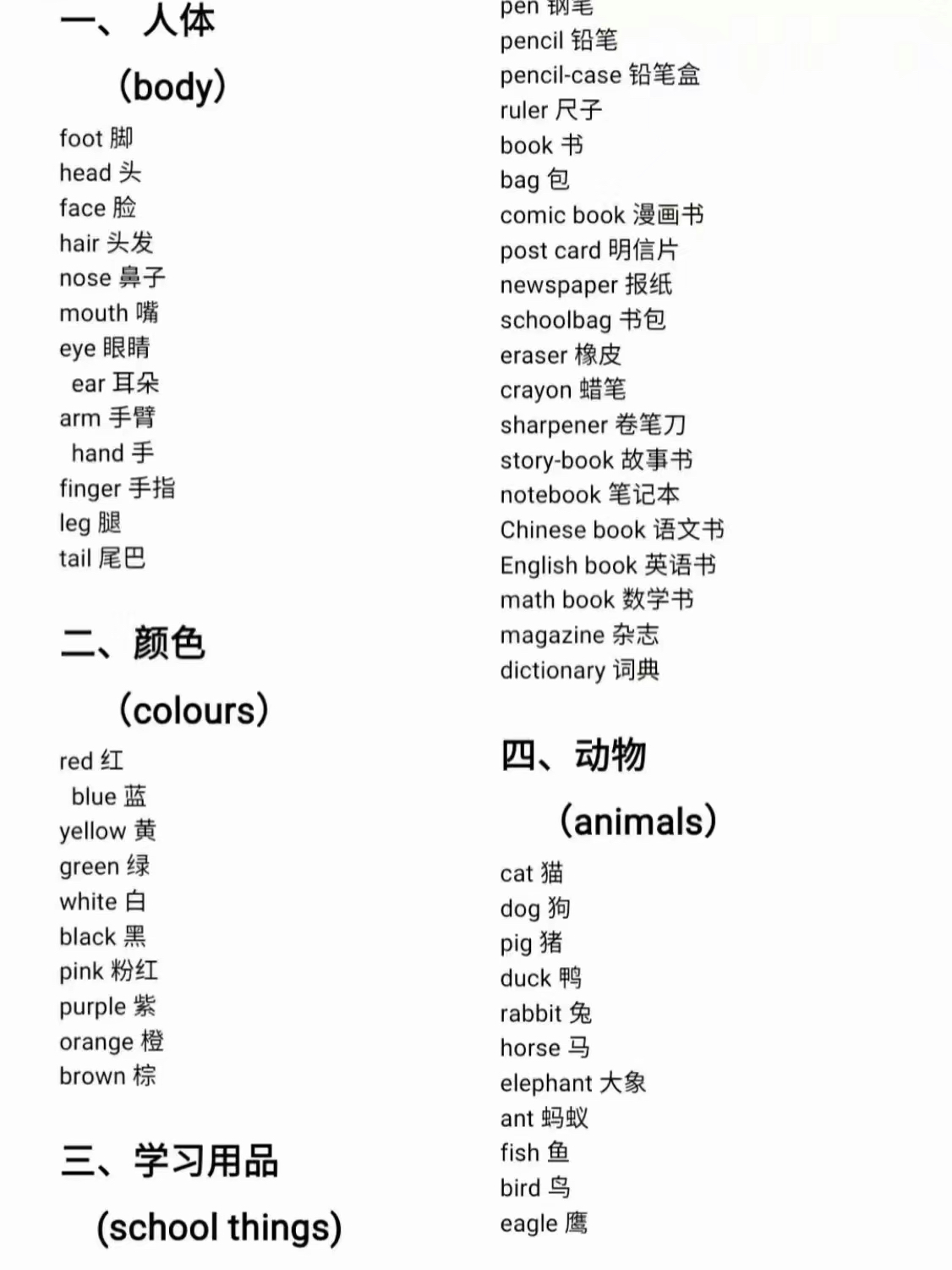 最新英文单词趋势及其影响力概览