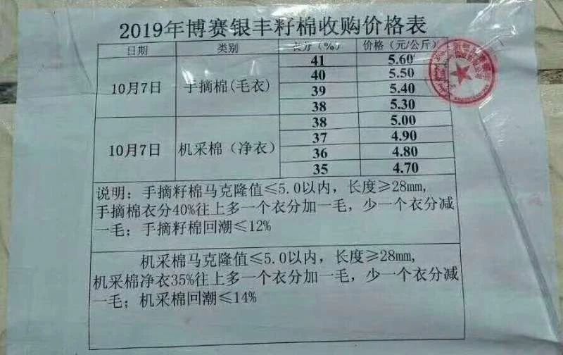 棉籽最新报价与市场动态深度解析